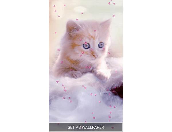 Cute Kitty Live Wallpaper for Android - Download the APK from Habererciyes
